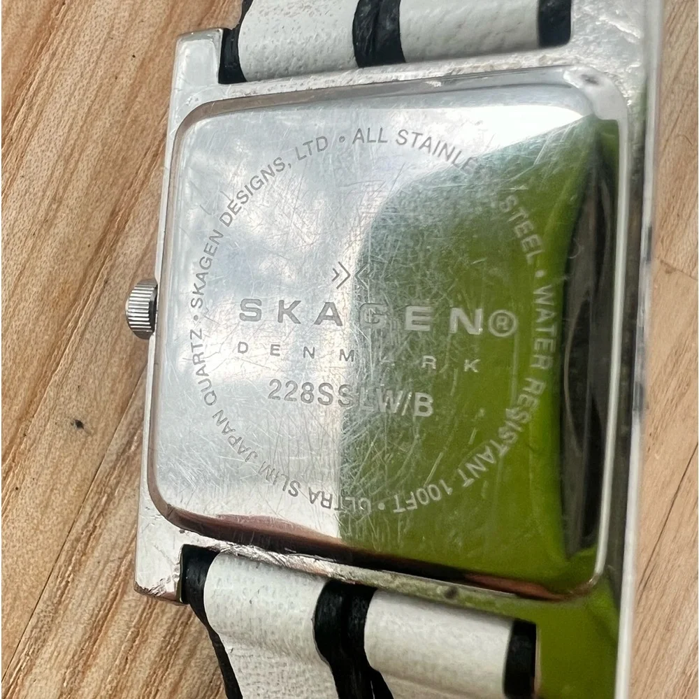 Skagen brand model
